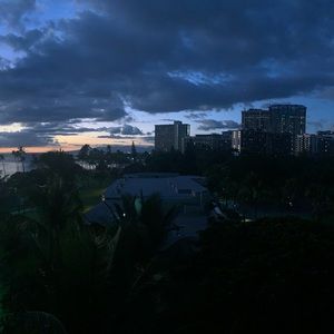 Meet your Posher, Zoey